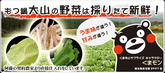 くまモンが紹介する新鮮野菜